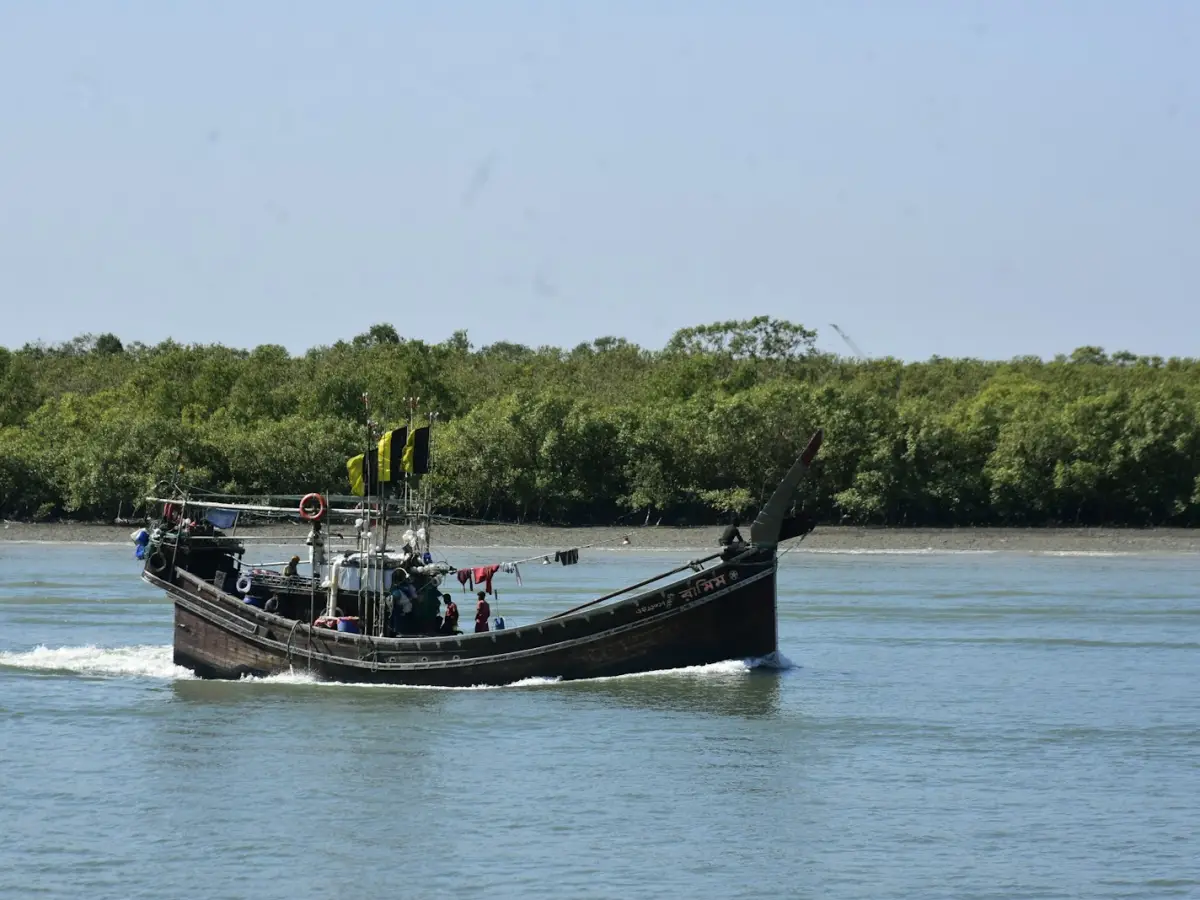 Sundari Cruise