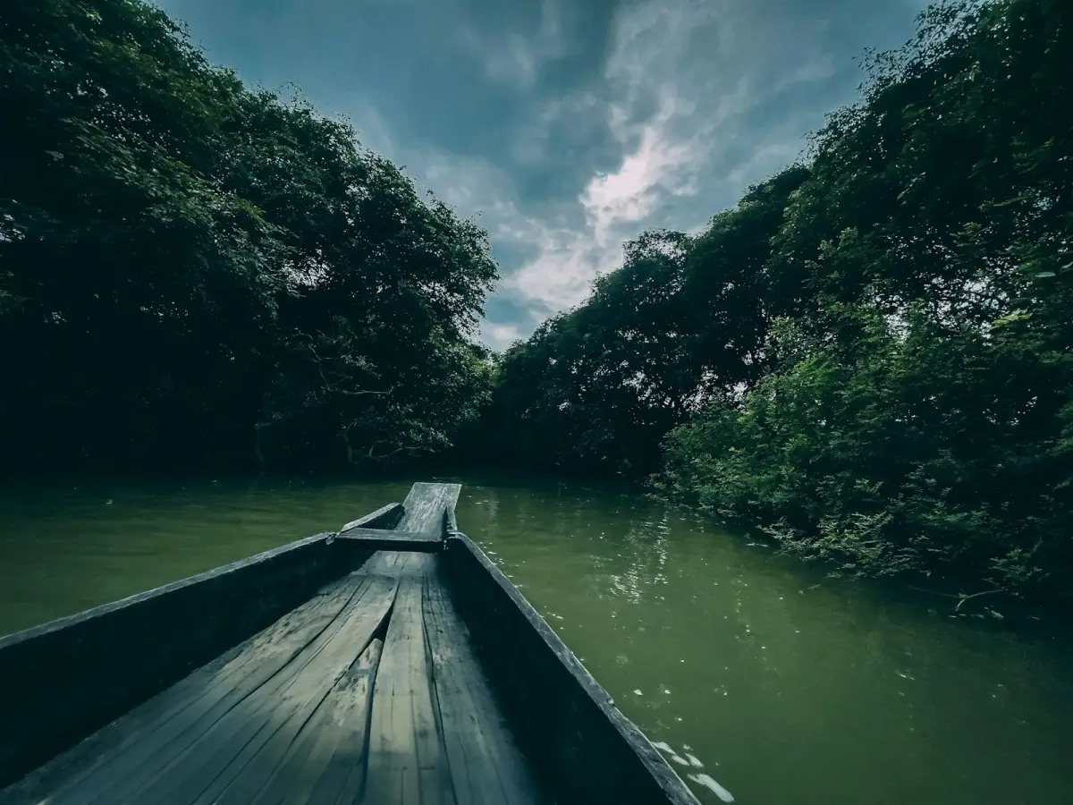 Ratargul swamp forest boat ride