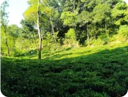 Sylhet