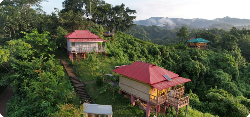 Niladri