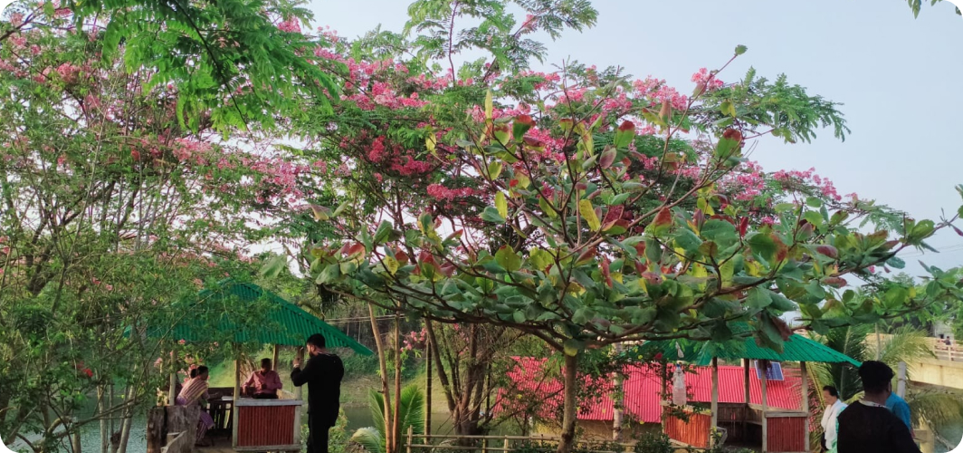 Ejor Restaurant & Resort
