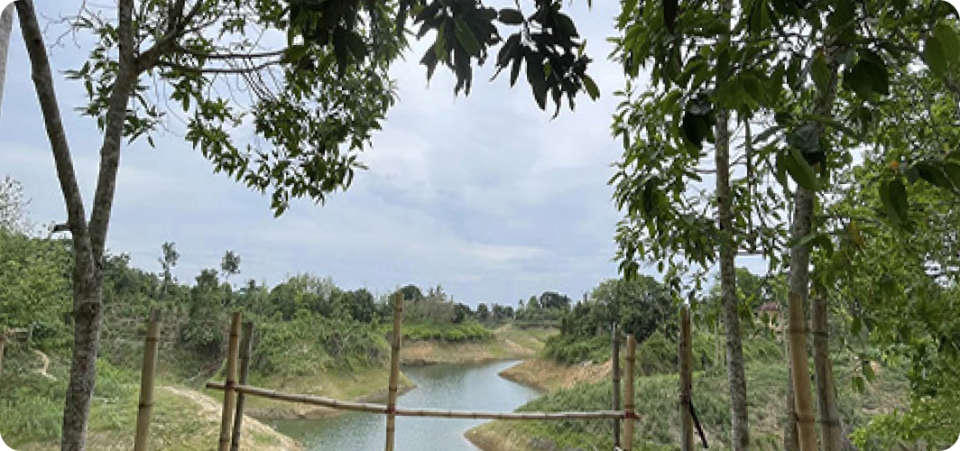 Rainya