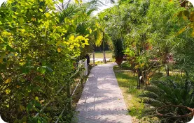 Jungle Bari Resort Swimming And Restaurant