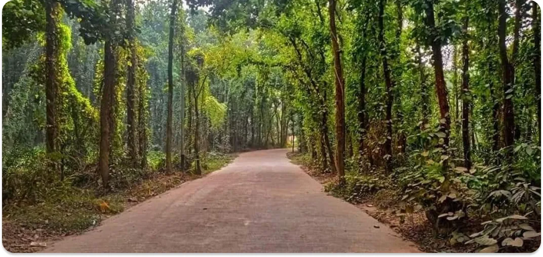 Ananda Park & Resort
