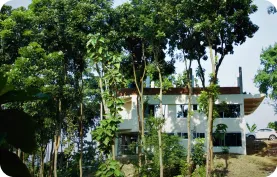 JungleBari Resorts Bandarban