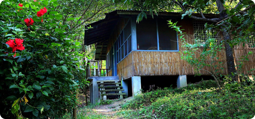 Hillside Resort
