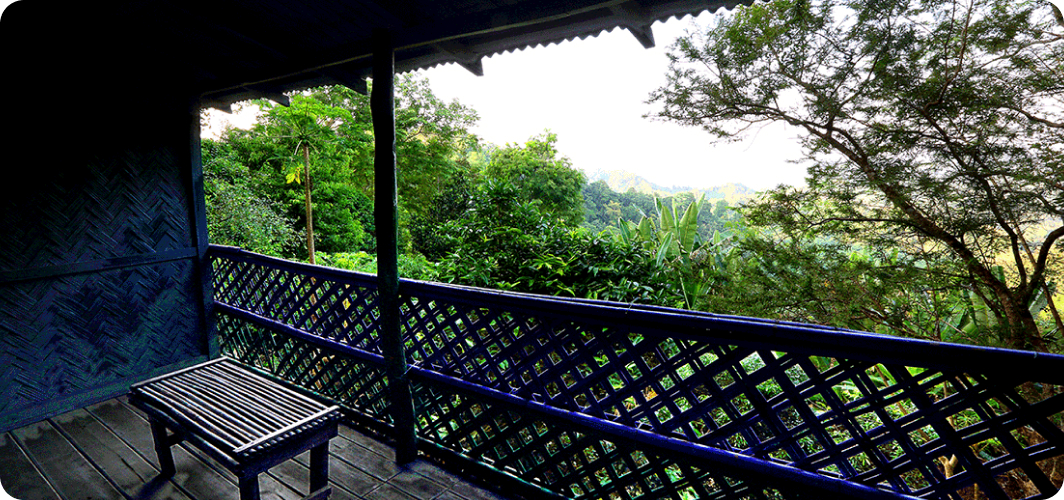 Hillside Resort