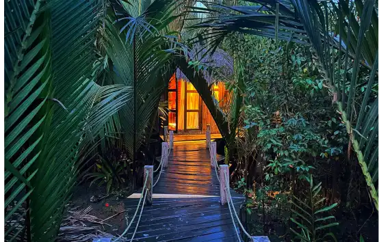 Bonobibi Forest Resort Sundarban