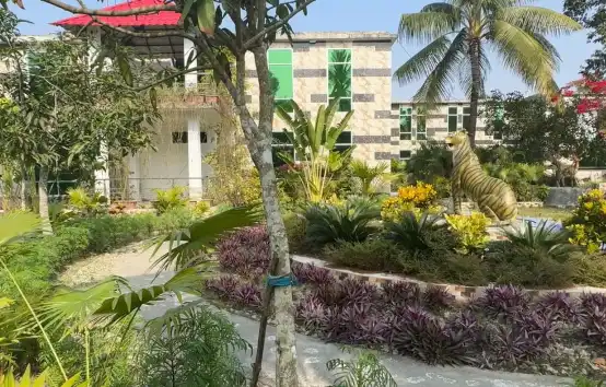 Mangrove Haven Resort