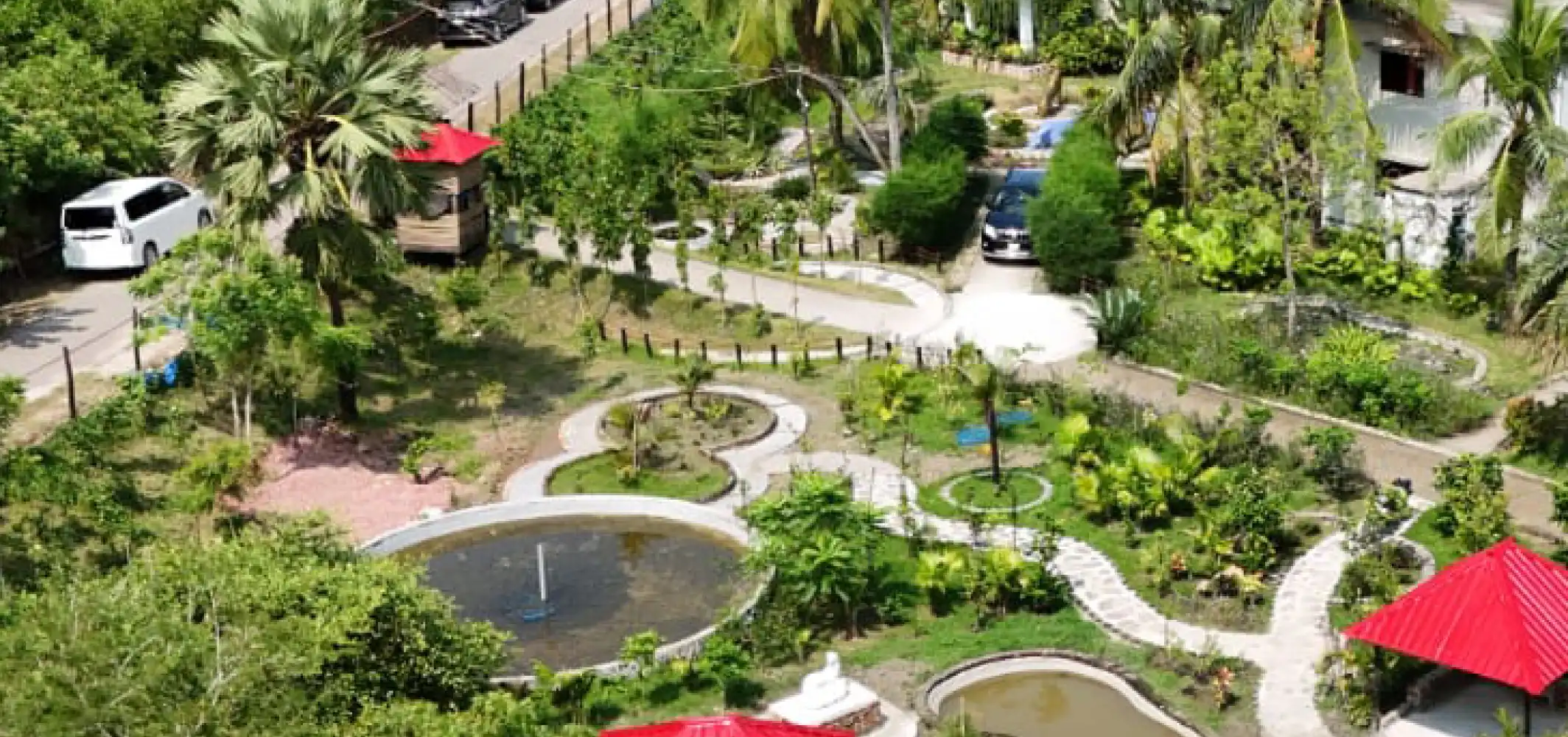 Mangrove Haven Resort