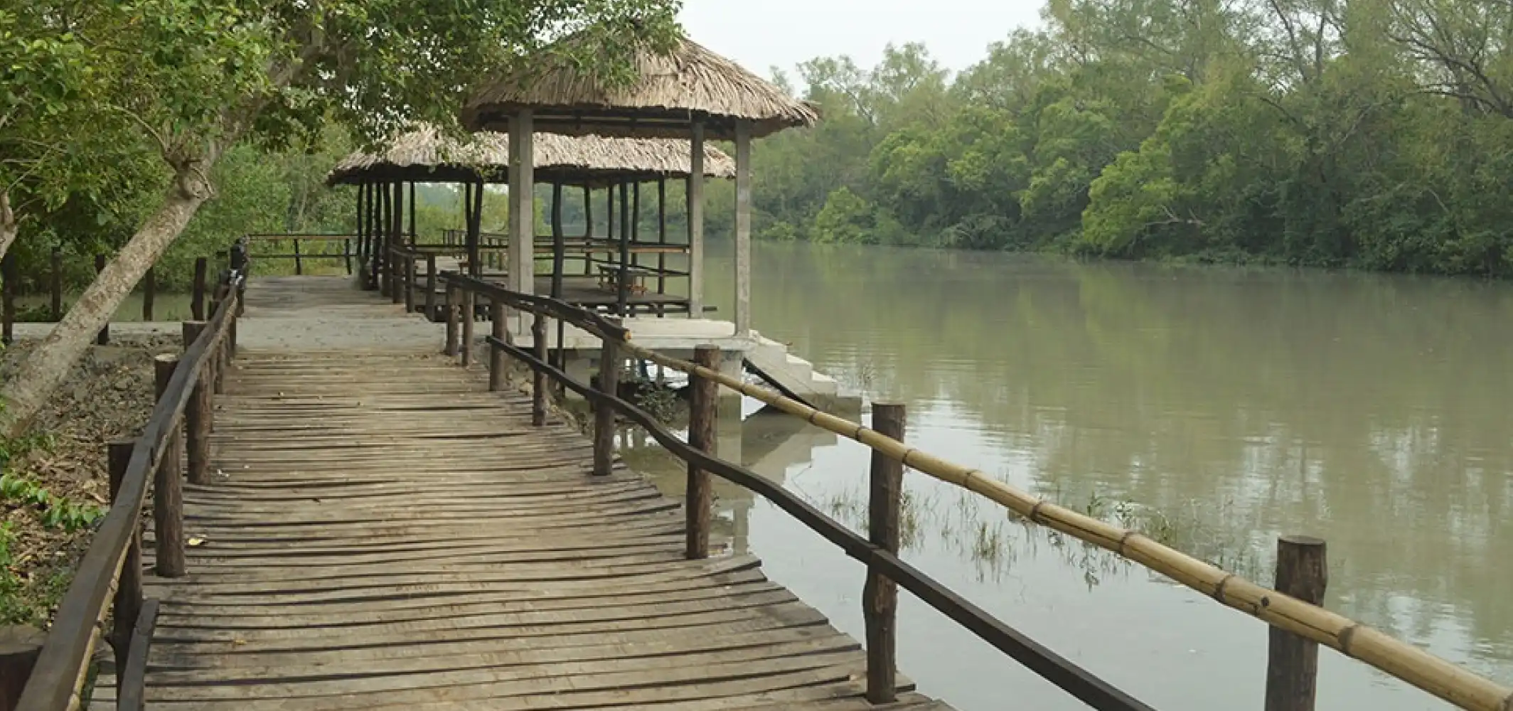 Mangrove Haven Resort