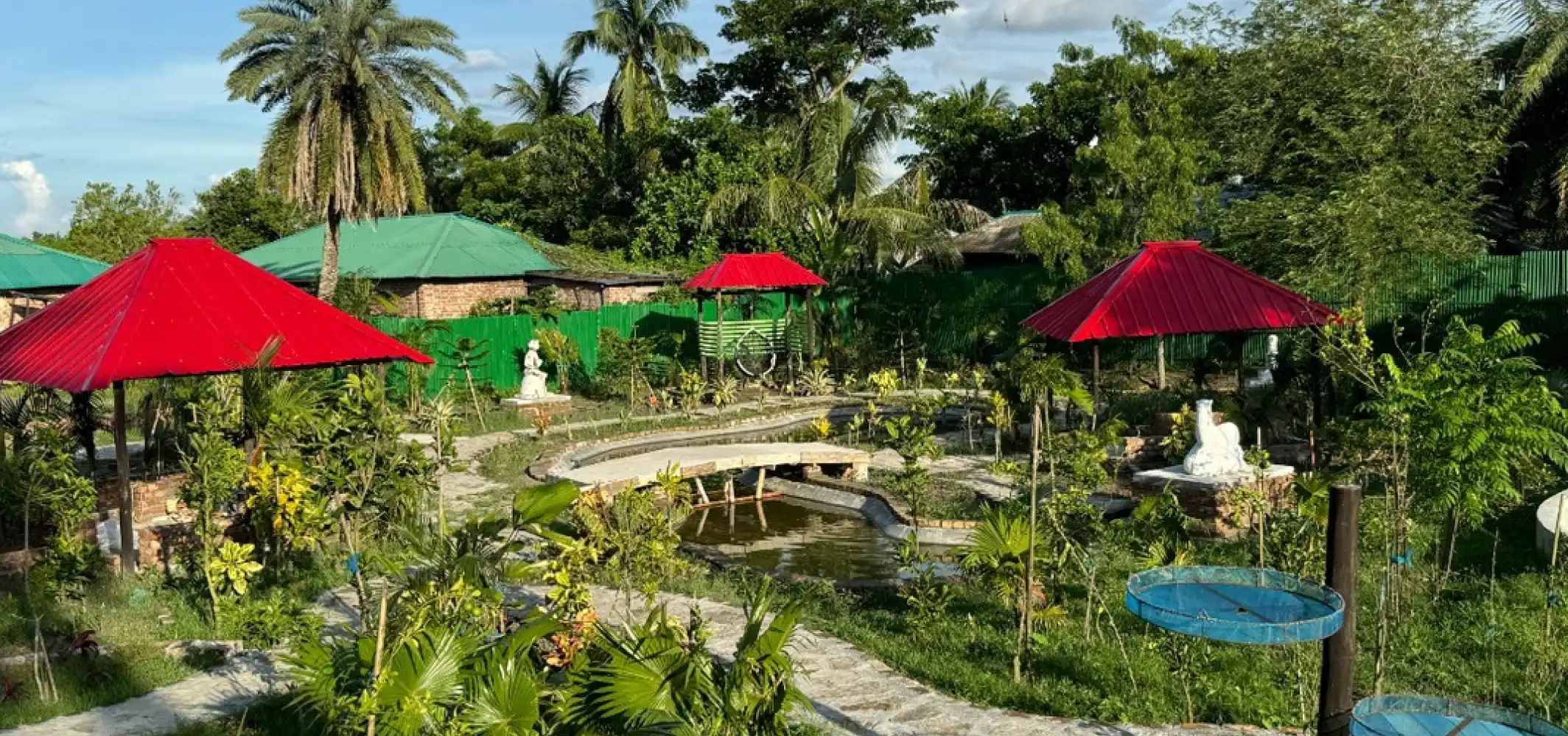 Mangrove Haven Resort