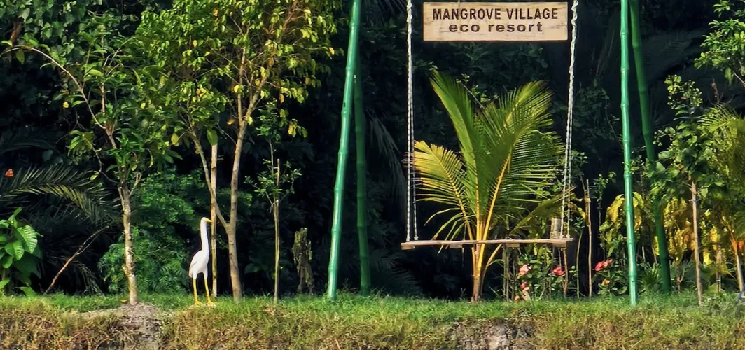 Mangrove village eco resort