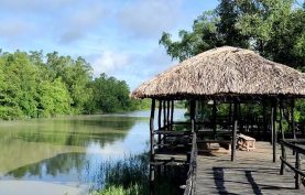 Mangrove Haven Resort