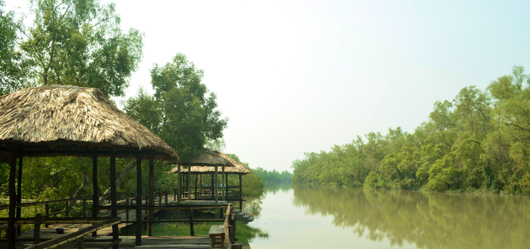 Mangrove Haven Resort