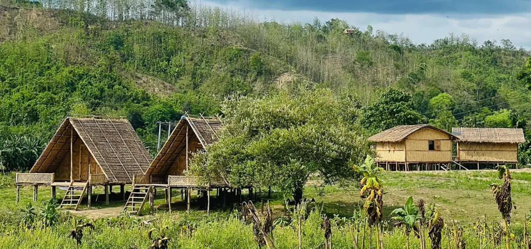 Whitepeak Station