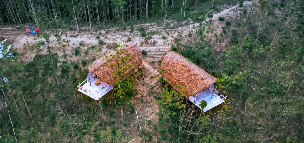 Nirvana BaseCamp Lama