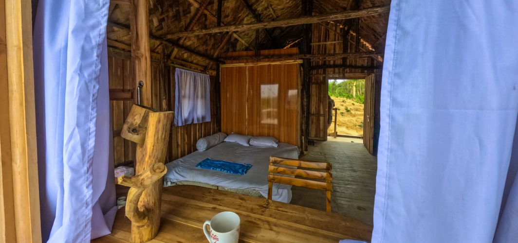 Nirvana BaseCamp Lama