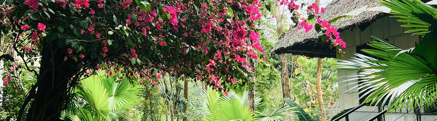 Day long resort near Dhaka: Where to Stay for a Relaxing Escape
